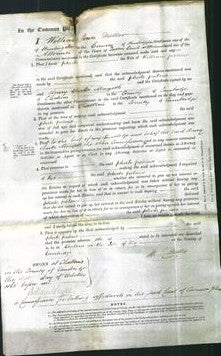 Court of Common Pleas - Phoebe Palmer-Original Ancestry