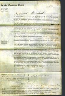 Court of Common Pleas - Sarah Williams-Original Ancestry