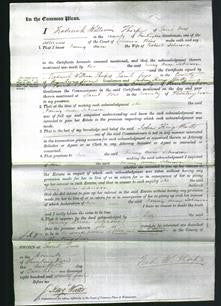 Court of Common Pleas - Fanny Anne Johnson-Original Ancestry