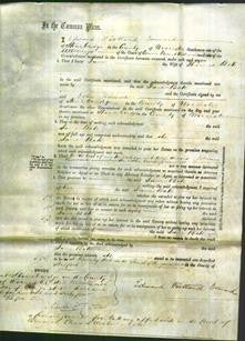 Court of Common Pleas - Jane Bate-Original Ancestry