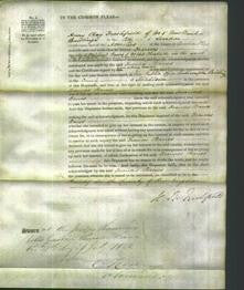 Court of Common Pleas - Frances Banes-Original Ancestry