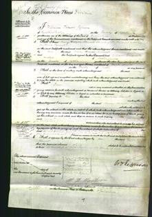 Court of Common Pleas - Mary Hodgson Bennett-Original Ancestry