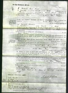 Court of Common Pleas - Jane Morgan-Original Ancestry