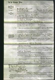 Court of Common Pleas - Sophia Matilda Payne-Original Ancestry