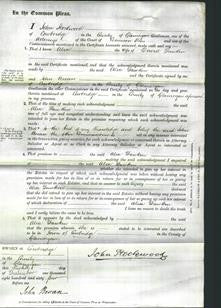 Court of Common Pleas - Alice Dawkin-Original Ancestry