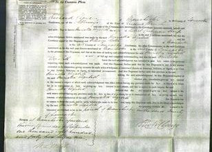 Court of Common Pleas - Henrietta Elizabeth Sharp-Original Ancestry