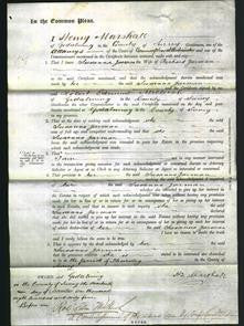 Court of Common Pleas - Susanna Jarman-Original Ancestry