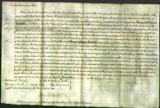 Court of Common Pleas - Mary Castling-Original Ancestry