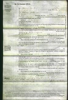 Court of Common Pleas - Sarah Kellett-Original Ancestry