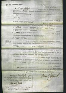 Court of Common Pleas - Sarah Cawley-Original Ancestry