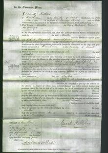 Court of Common Pleas - Martha Dawson-Original Ancestry