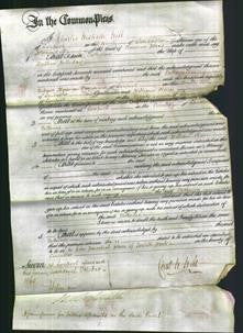Court of Common Pleas - Catherine Holliday-Original Ancestry