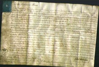 Court of Common Pleas - Jane Baxter, Dinah Mitchinson-Original Ancestry