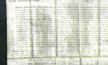 Court of Common Pleas - Mary Maria Netten-Original Ancestry