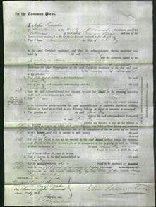 Court of Common Pleas - Jane Fry-Original Ancestry