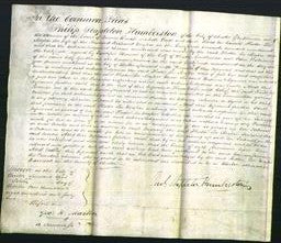 Court of Common Pleas - Hester Lee Massie-Original Ancestry