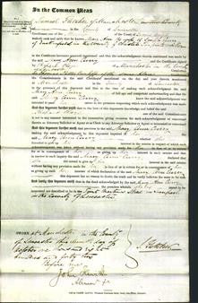 Court of Common Pleas - Mary Ann Curry-Original Ancestry