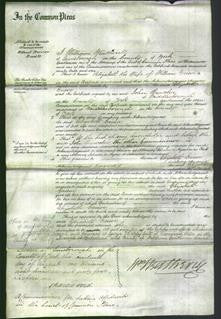 Court of Common Pleas - Elizabeth Grieve-Original Ancestry