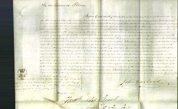 Court of Common Pleas - Elizabeth Mathews-Original Ancestry