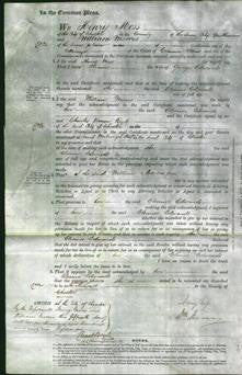 Court of Common Pleas - Eleanor Edwards-Original Ancestry