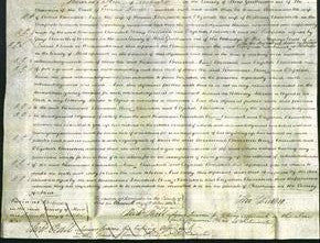 Court of Common Pleas - Roseanna Beverstock, Ann Beverstock and Elizabeth Beverstock-Original Ancestry