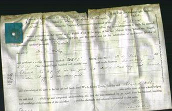 Deed by Married Women - Elizabeth Webley-Original Ancestry