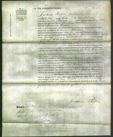 Court of Common Pleas - Jane Harries-Original Ancestry
