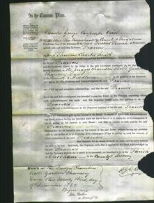 Court of Common Pleas - Frances Smith-Original Ancestry