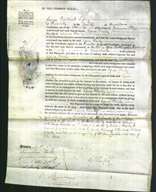 Court of Common Pleas - Agnes Henley-Original Ancestry