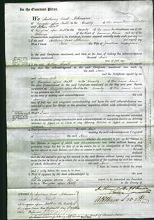 Court of Common Pleas - Ann Crumpton-Original Ancestry