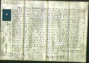 Court of Common Pleas - Elizabeth Hobson-Original Ancestry