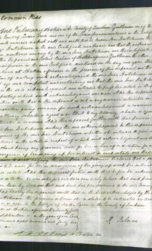 Court of Common Pleas - Jane Hutchinson-Original Ancestry