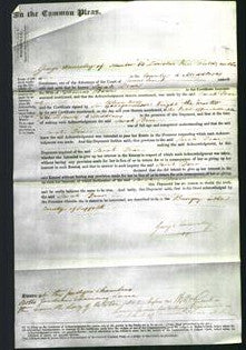 Court of Common Pleas - Sarah Dear-Original Ancestry