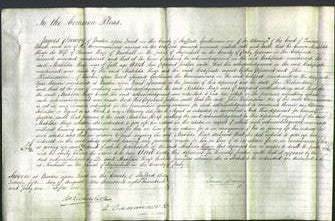 Court of Common Pleas - Matilda Heap-Original Ancestry