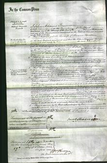 Court of Common Pleas - Elizabeth Walters-Original Ancestry