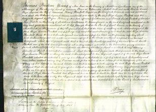 Court of Common Pleas - Eliza Louisa Plunkett-Original Ancestry