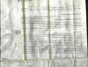 Court of Common Pleas - Sarah Wadhams-Original Ancestry