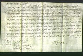 Court of Common Pleas - Jane Plumley-Original Ancestry