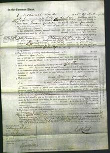 Court of Common Pleas - Jemima Guedalla-Original Ancestry