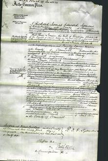Court of Common Pleas - Louisa Biddick-Original Ancestry