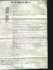 Court of Common Pleas - Phoebe Mellish-Original Ancestry