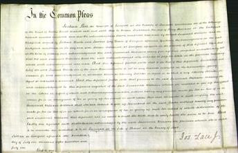 Court of Common Pleas - Susannah Williams-Original Ancestry