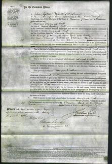 Court of Common Pleas - Margaret Scott-Original Ancestry