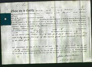 Deed by Married Women - Betsy Maria Hogg-Original Ancestry