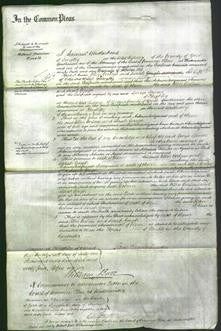 Court of Common Pleas - Ellen Corlass and Sarah Gough-Original Ancestry