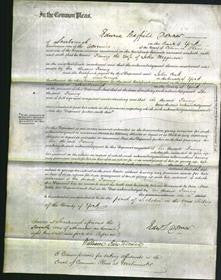 Court of Common Pleas - Fanny Meggiuson-Original Ancestry