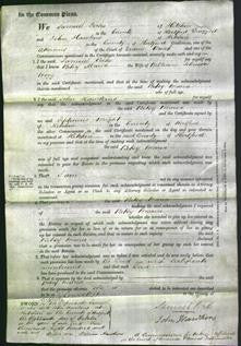 Court of Common Pleas - Betsy Maria Hogg-Original Ancestry