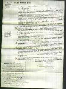 Court of Common Pleas - Ann Simpson, Mary Wheat Smallwood, Eliza Copeland and Sarah Goodfellow-Original Ancestry