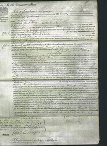 Court of Common Pleas - Harriett Amelia Johnson-Original Ancestry