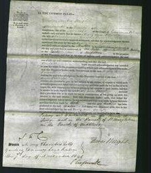 Court of Common Pleas - Mary Ann Powell-Original Ancestry